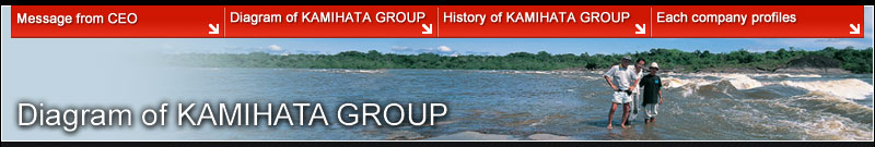 Diagram of KAMIHATA GROUP