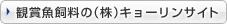 �Ϗ܋������́i���j�L���[�����T�C�g