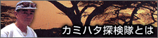 �J�~�n�^�T�����Ƃ�