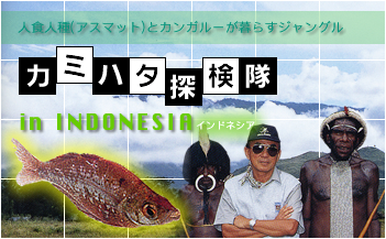 カミハタ探検隊 in INDONESIA 「人食人種（アスマット）とカンガルーが暮らすジャングル」