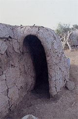 “マンヤツタ”という牛の糞で作られた住居