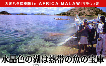 カミハタ探険隊in AFRICA MALAWI