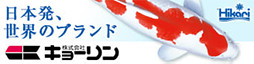 株式会社キョーリン