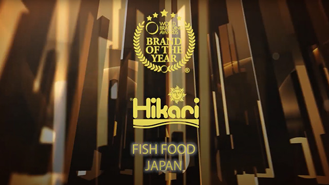 「ブランド・オブ・ザ・イヤー」を受賞