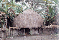 マッシュルームのようなダニ族の住居のあるソンパイマ村