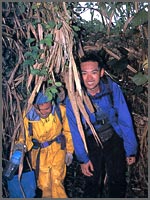 道無きジャングルを強行軍。このような所にはヒルがたくさん潜んでいる。