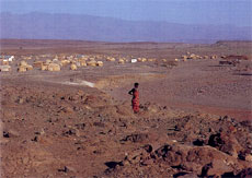 乾燥した砂礫の大地に点在するトゥルカナ族の集落