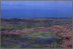 サリマ空港近くの湿地帯。海のようなマラウィ湖が見える。対岸はいまなお動乱の絶えないモザンビーク
