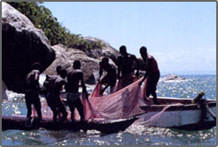 １日目は漁師が網引きをしているこのカンタベリー・ポイントの沖合いの小島にチャレンジ